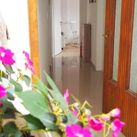 Apartman 30098 - Dijana